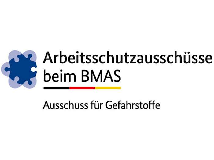 Logo: AGS