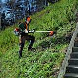 Quelle: Stihl