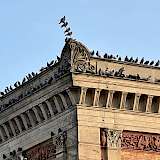 Stadttauben auf kommunalem Gebäude