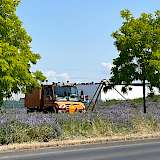 Unmiog bei der Baumbewässerung